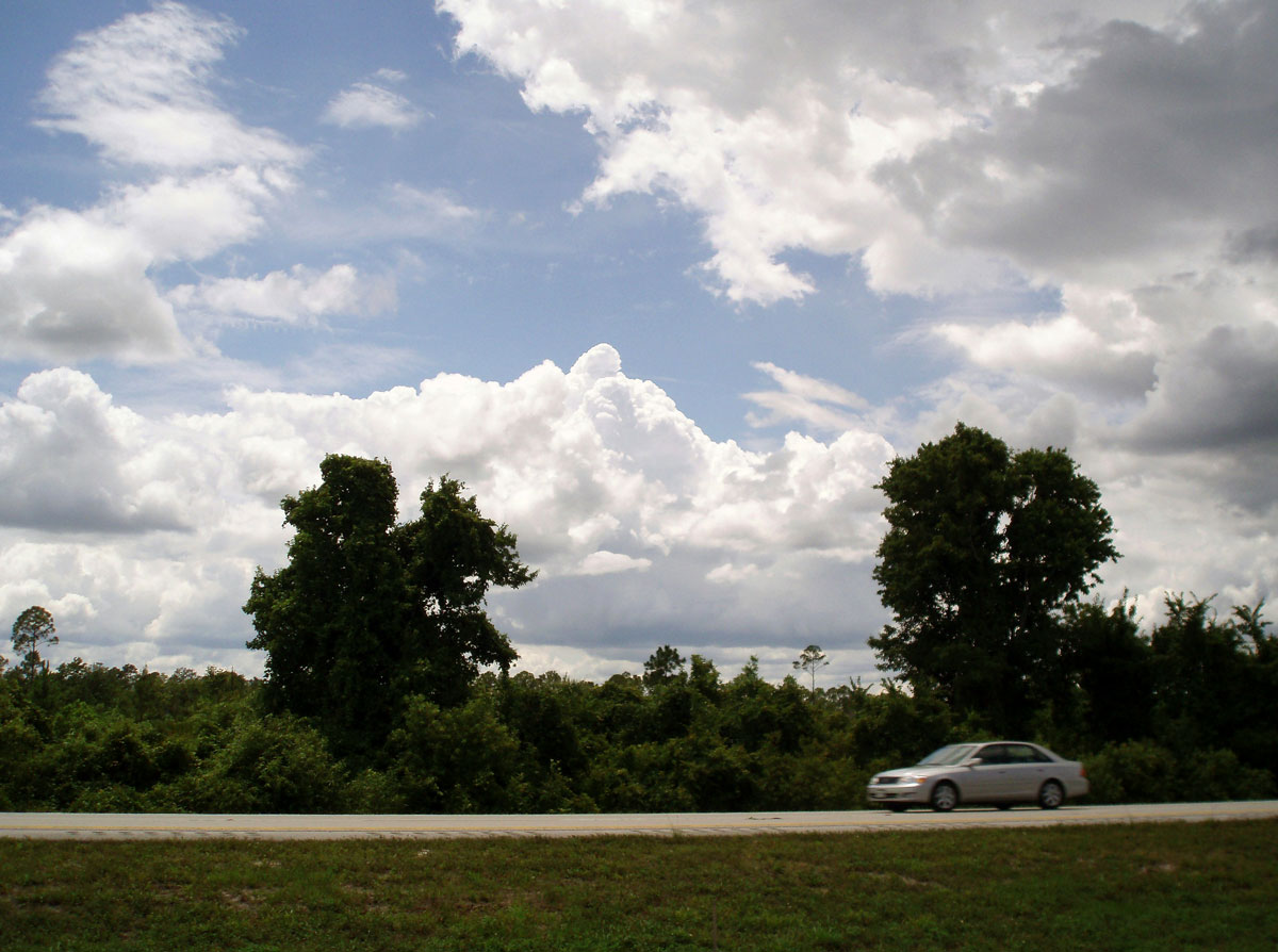 Open road in Florida with an ordinary car.